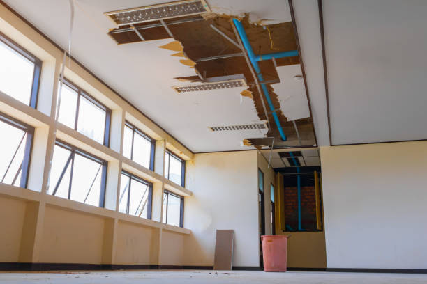 Best Professional water damage repair  in Meadow Oaks, FL