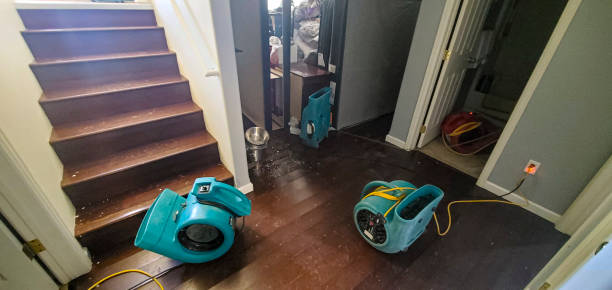 Meadow Oaks, FL Water damage restoration Company