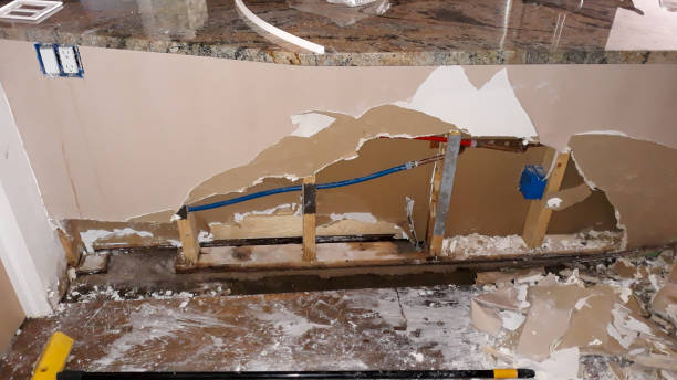 Best 24-hour water damage restoration  in Meadow Oaks, FL