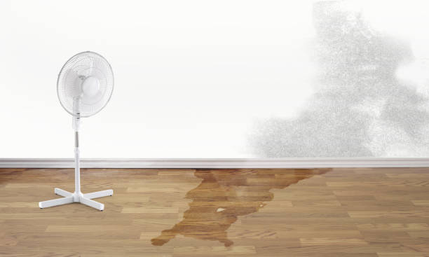 Water damage restoration experts in Meadow Oaks, FL