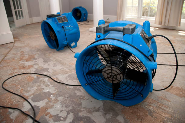 Best Commercial water damage restoration  in Meadow Oaks, FL
