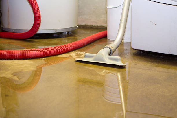 Best Basement water damage restoration  in Meadow Oaks, FL