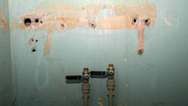 Best Flood damage cleanup  in Meadow Oaks, FL