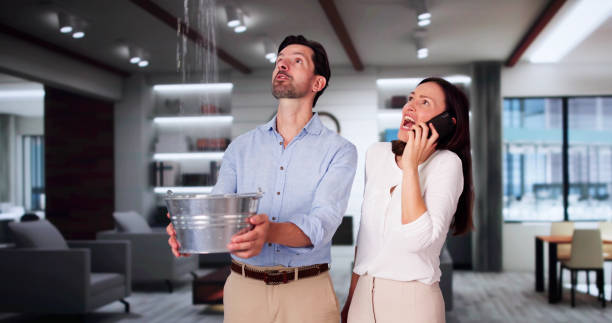 Best Flood damage cleanup  in Meadow Oaks, FL