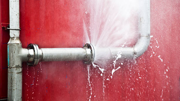 Best Water damage mitigation services  in Meadow Oaks, FL